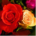 Red Yellow Rose Photo Sculpture photo sculptures by WeddingsBest Red Yellow Rose Photo Sculpture photo sculptures