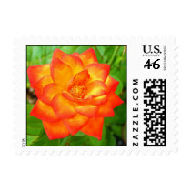 Red-Yellow Rose postage by princessklb07 Red-Yellow Rose postage