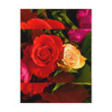 Red Yellow Rose postcards by colorimages Red Yellow Rose postcards
