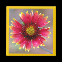 Red & Yellow Wildflower Magnet