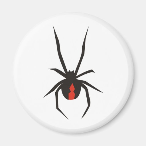 Redback Spider 2 Magnet
