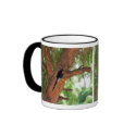 Redbilled Woodhoopoe bird mugs