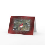 Redbird in the Snow Cards