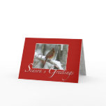 Redbird Seasons Greetings Greeting Card