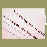 "Redbirds" on Wire cards