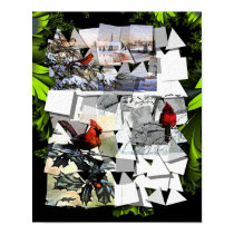 Redbirds posters by Blacknight Redbirds posters