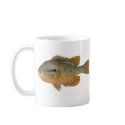 Redbreast Sunfish - Lepomis auritus B/store Promo mugs