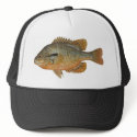 Redbreast Sunfish - Lepomis auritus hats