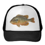 Redbreast Sunfish - Lepomis auritus Mesh Hat