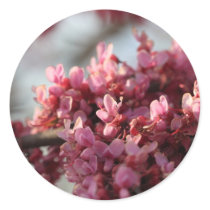 Redbud Flower Sticker