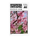 redbud_flowers postage by MoriahPotts92 redbud_flowers postage