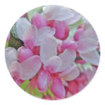 Redbud Tree Blossoms Items stickers