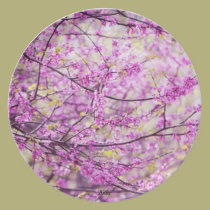 Redbud Tree i plates