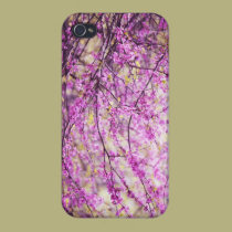 Redbud Tree iphone cases