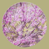 Redbud Tree plates