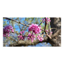 Redbud Tree up close Personalized Photo Card