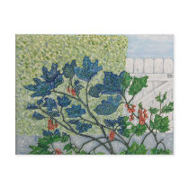 Redcurrant Berries Postcards