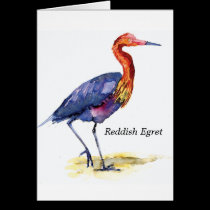 Reddish Egret note card cards