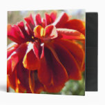 Reddish Marigold Vinyl Binders