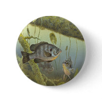 Redear Sunfish Button