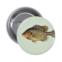 Redear sunfish button
