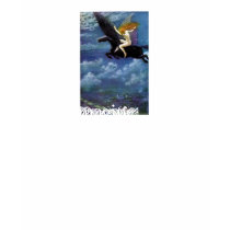 RedFairy Pegasus ~ Imagine t-shirts