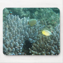 Redfin Butterflyfish (Chaetodon lunulatus) Mousepads