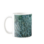 Redfin Butterflyfish (Chaetodon lunulatus) mugs