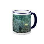 Redfin Butterflyfish (Chaetodon lunulatus) Coffee Mug