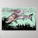 Redfish Posters