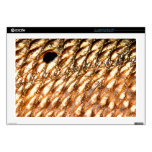 "Redfish" - Red Drum by PatternWear© 17" Laptop Skins
