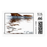 Redfish Reflections Postage
