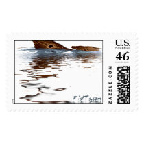 Redfish Reflections Postage
