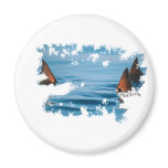 Redfish Tailin