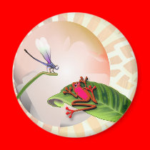RedFrog watching dragonfly magnets