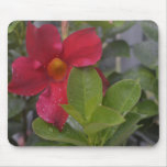 RedGage 365 Day Challenge Mouse Pad