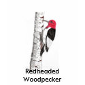 Redheaded Woodpecker on Kids T-Shirt by Songbirds Redheaded Woodpecker on Kids T-Shirt