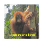 Redheads Are Hot Humor magnets