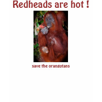 Redheads are Hot ! t-shirts