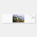 Redipusmex Album Cover Bumper Stickers