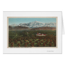 Redlands, CA - Mountain & Orchard Scene Card