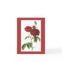 Redoute Bishop Rose Notecard