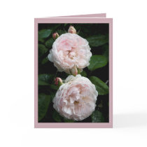 Redoute Card II