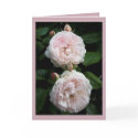 Redoute Card II