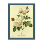 rose, rosa, roses, flower, floral, florist,