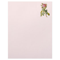 Redoute Rose 2 letterhead