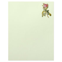 Redoute Rose 2 letterhead
