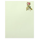 Redoute Rose 2 Letterhead Template
