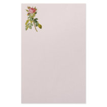 Redoute Rose 2 stationery