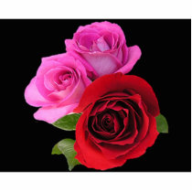 RedPinkTonedRoses2 photo sculptures